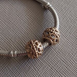 Pandora 14k Cage Openwork Charms